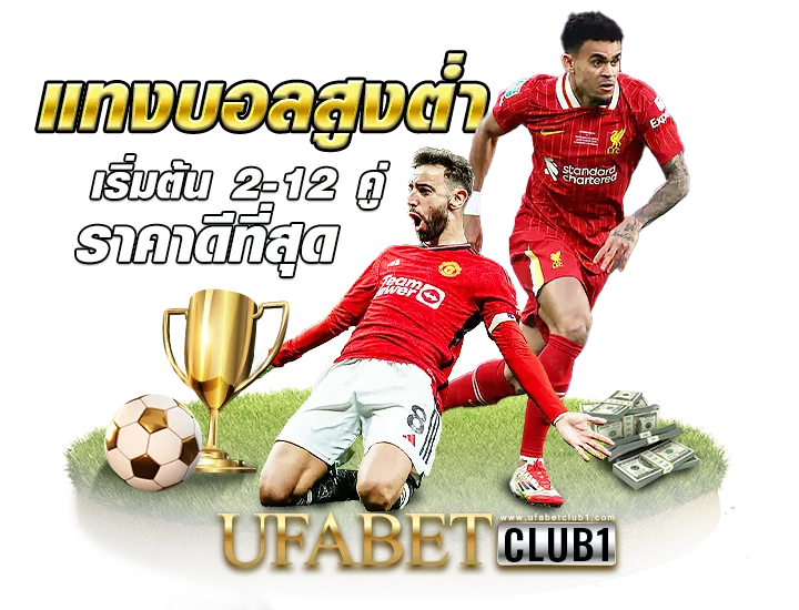 แทงบอลสูงต่ำ เริ่มต้น 2-12 คู่
